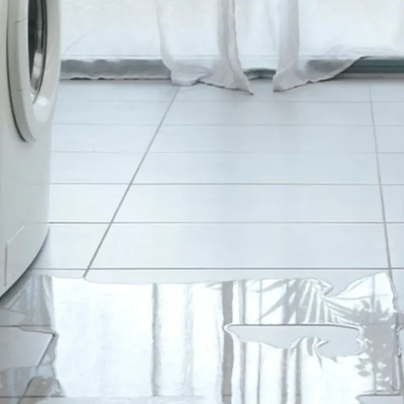 Appliance Leak Cleanup in Astoria, IL