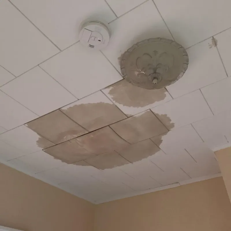 Ceiling Water Damage Repair in Astoria, IL