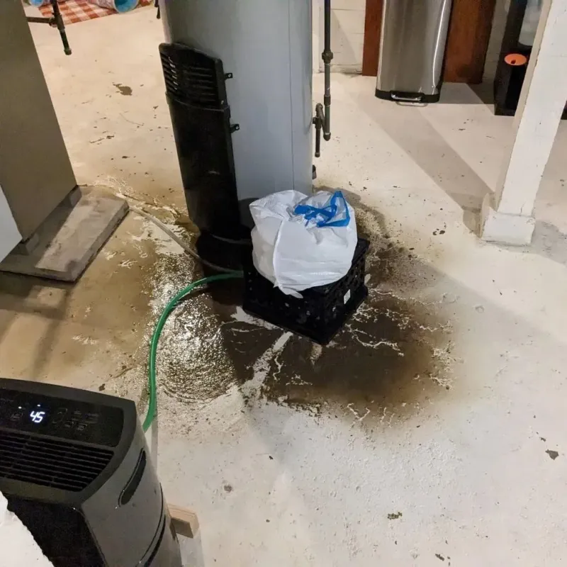 Sewage Backup Cleanup Service in Astoria, IL
